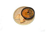 Traditional Turkish muhammara appetizer with olive oil and pomegranate at Anatolia Restaurant Singapore