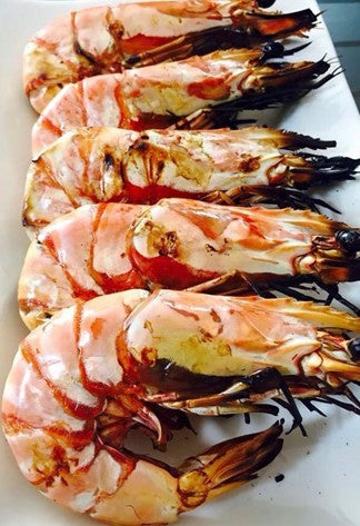 Grilled Tiger Prawns Anatolia Turkish Restaurant